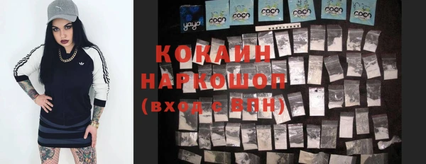 spice Няндома