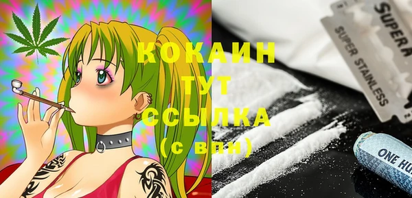 spice Няндома