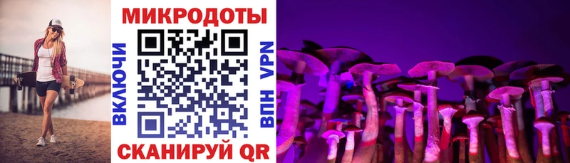 Купить где  Новохопёрск  Галлюциногенные грибы MAGIC MUSHROOMS 